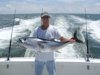 50+ pound bluefin tuna.